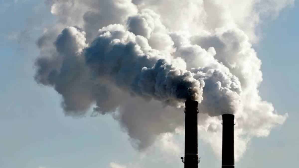 Qual A Massa De Gas Carbonico Co2 Obtida Na Queima