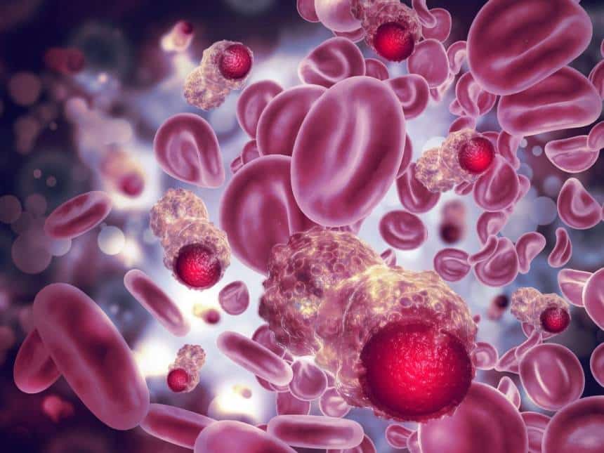 20191112013943_860_645_-_celulas_sanguineas Nova célula descoberta pode ser a cura definitiva para o câncer