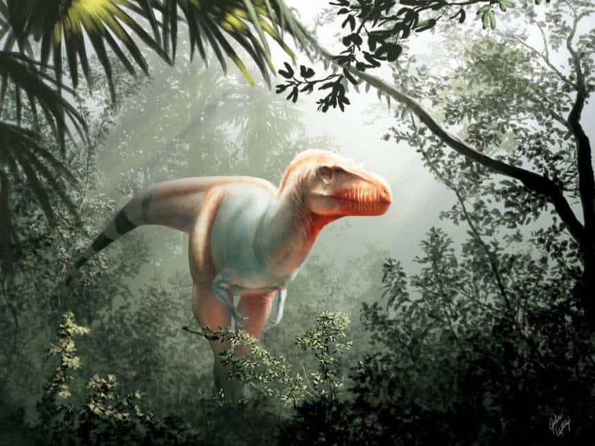 20200210073540_860_645_-_thanatotheristes_degrootorum 'Ceifador da Morte': ancestral do T. rex é encontrado no Canadá