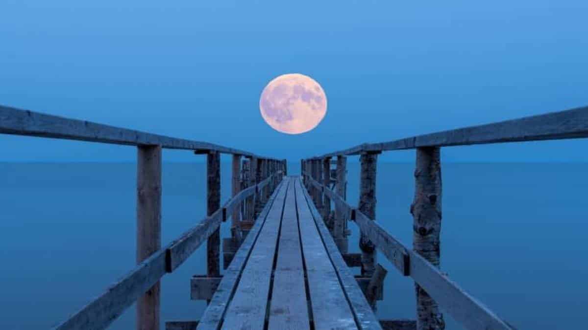 Superlua rosada vai iluminar o céu durante a noite de 7 de abril