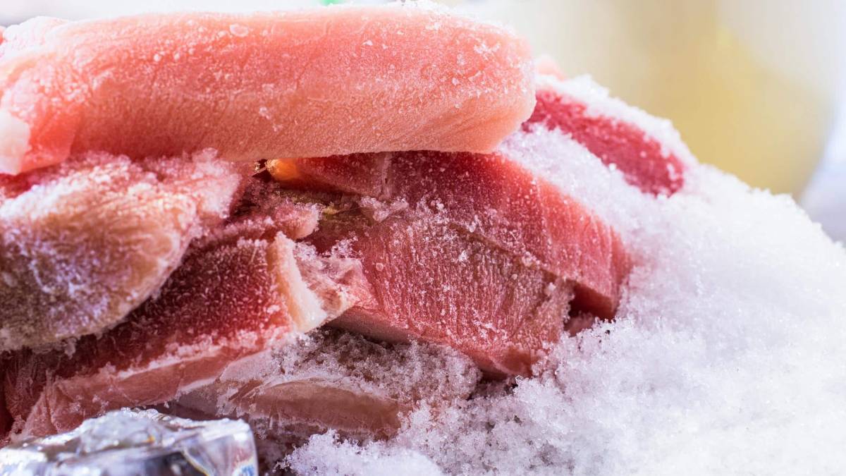 China detecta coronavírus em peixe congelado do Brasil e suspende importação