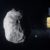 Missão vai avaliar os resultados da colisão de asteroides