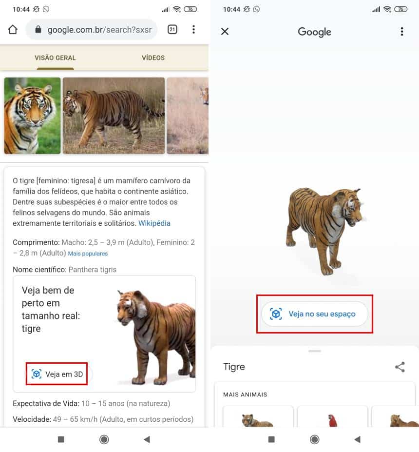 Como gravar vídeos com os 'animais 3D' do Google - Olhar Digital