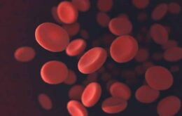 Como os vasos sanguíneos vazam pelo corpo por infecção?
