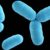 Cientistas sequenciam o genoma de fungo que deu origem à Penicilina