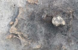 Escavação na Suécia encontra cão de 8.400 anos enterrado com seu dono