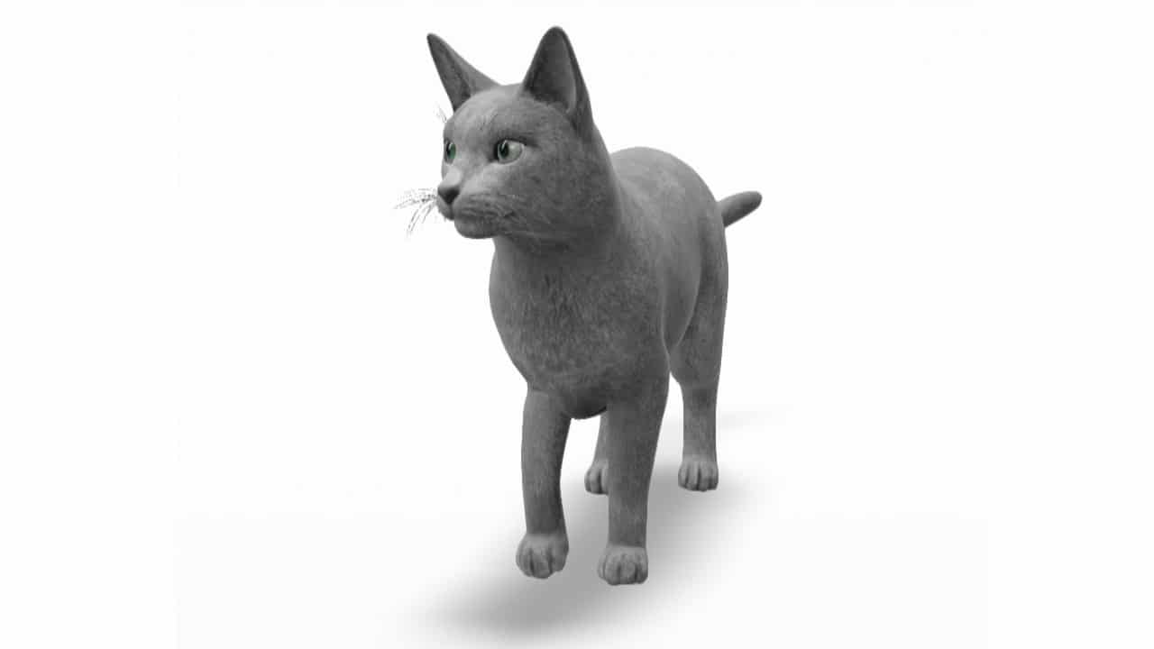 Google Adds More Than 50 3d Animals To The Search Olhar Digital