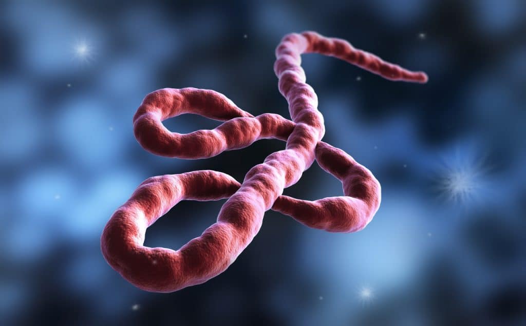 República Democrática do Congo declara novo surto de Ebola