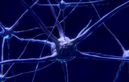 Estudo encontra novos indícios de que Covid-19 afeta neurônios