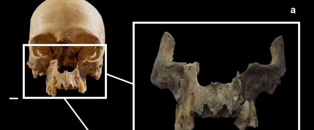 Imagens de crânio encontrado dentro de caverna na Itália
