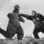 Godzilla vs. Kong: diretor confirma que filme terá referências ao original de 1962