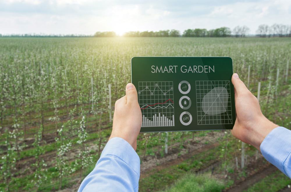 Imagem ilustra uma plantação e um tablet com informações que ilustram a smart farming, ou como a tecnologia pode ser aplicada em processos para tornar o agronegócio mais eficiente. 