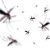 Moradores ficam furiosos com a liberação de 500 milhões de mosquitos geneticamente modificados na Flórida