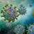 Cientistas apontam novo antiviral capaz de prevenir casos graves de Covid-19