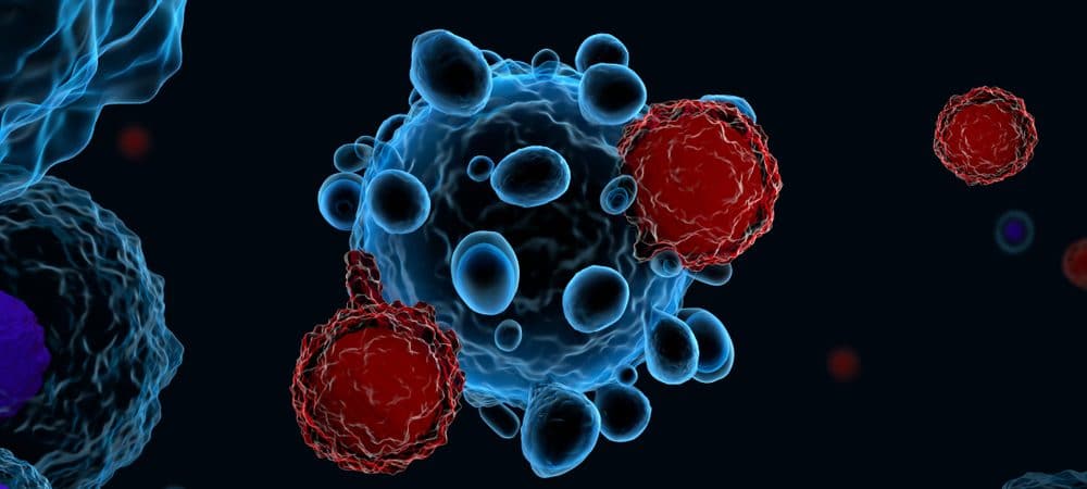 Study Discovers New Ways to Kill Cancer Cells