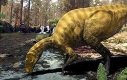 Dinossauro do tamanho de um caminhão é identificado em fóssil descoberto na Espanha