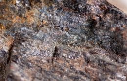 Mineral raro típico de meteoritos é encontrado em rochas da Bacia do Mar Morto
