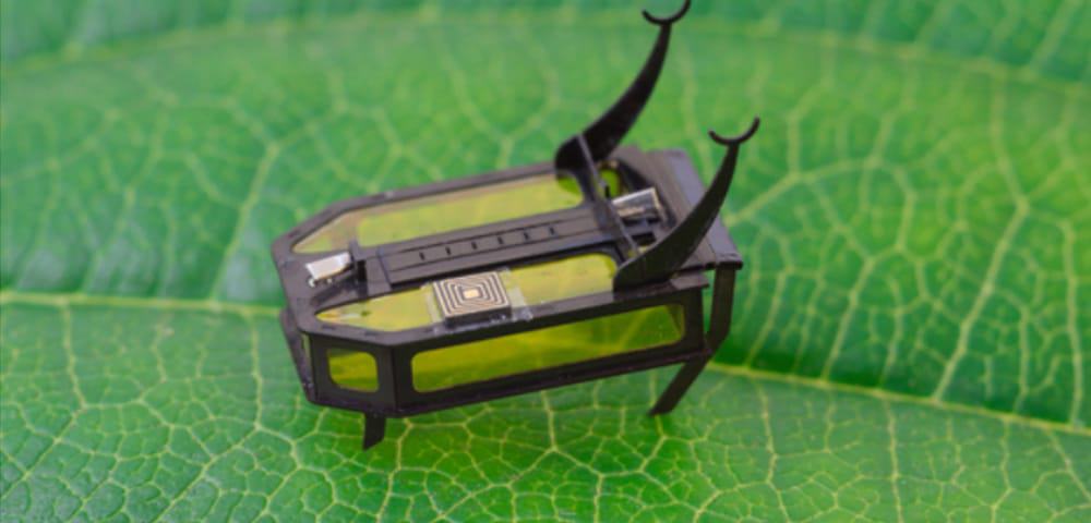Small and brave: mini robot inspired by beetles will end up in the Guinness  Book