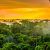 Imagem mostra uma região da floresta amazônica, iluminada pelo pôr do sol, com as árvores e neblina na parte de baixo