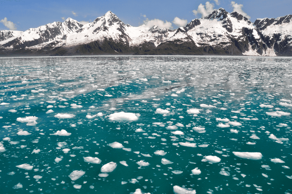 Imagem da Baía de Alaik, região impactada pela acidificação oceânica do Golfo do Alaska