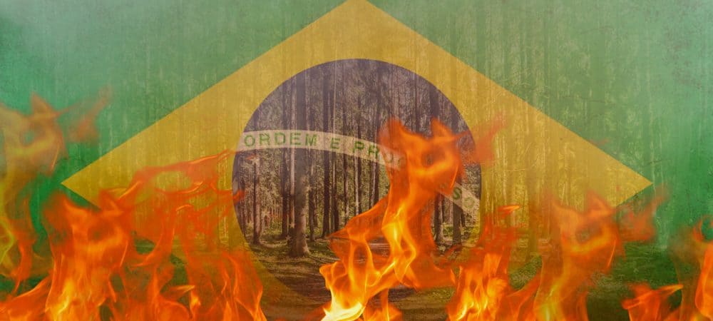 incendio-florestal-brasil-1000x450