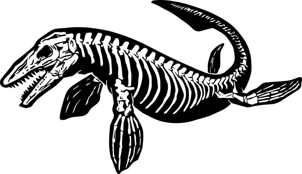 Ilustração do esqueleto de mosassauro