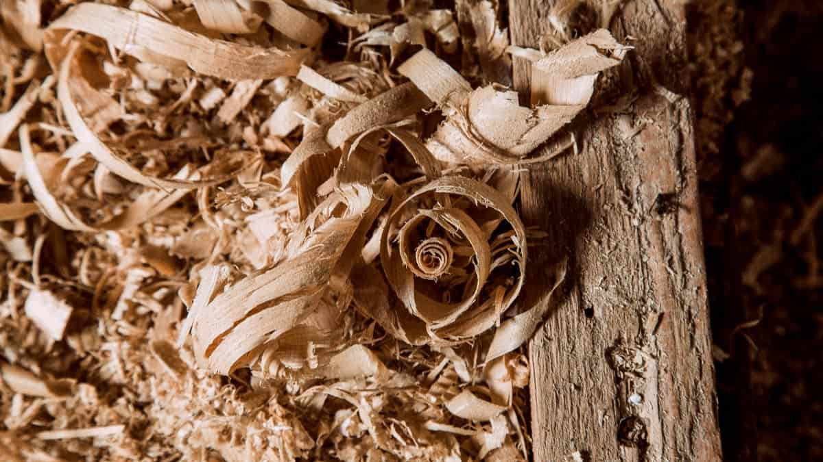 A Madeira é Um Combustível Renovável Ou Não Renovável Explique