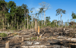 Amazônia bateu recorde de desmatamento em seu pior mês de outubro