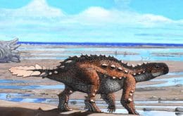Dinossauro descoberto no Chile tinha uma estranha cauda cheia de lâminas