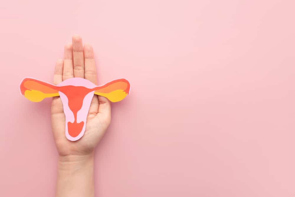 drawing of a uterus