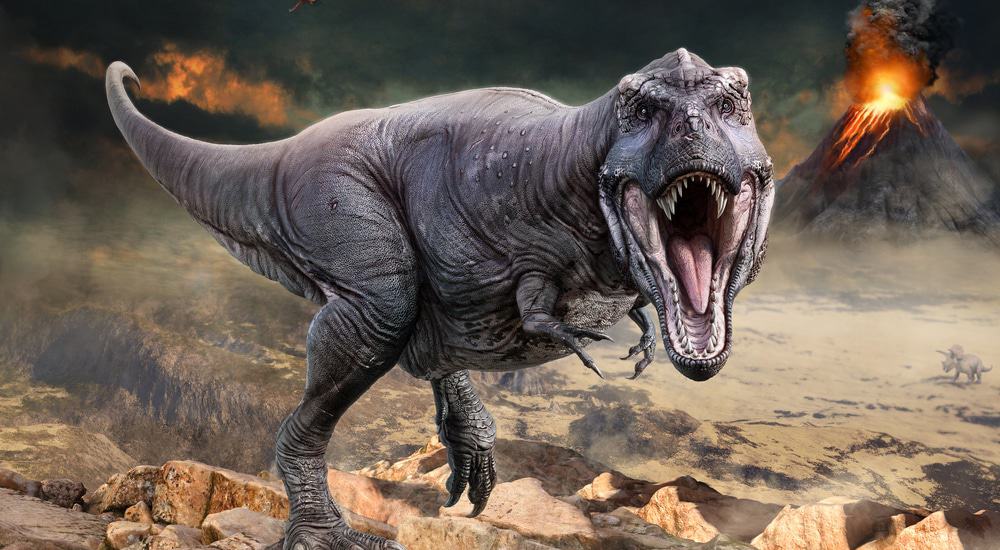 Estudo sugere que existiam duas espécies de tiranossauro além do T. Rex