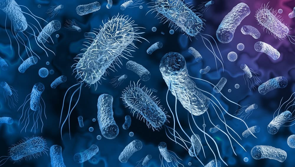 Die Tage antibiotikaresistenter Bakterien dürften gezählt sein
