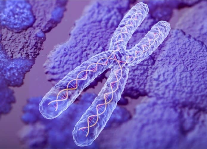 cromossomo-seres-humanos