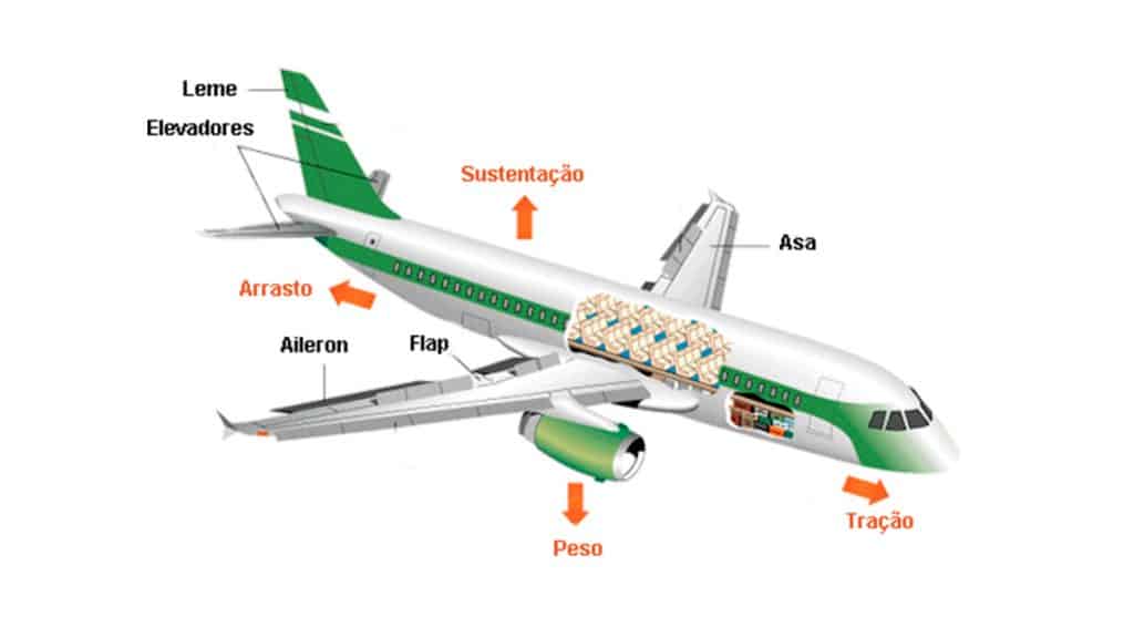 Por Que O Avi o Voa E N o Cai Entenda Como Funciona Uma Aeronave Por Que O Avi o Voa E N o Cai Entenda Como Funciona Uma Aeronave