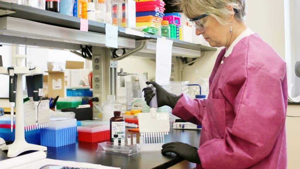 Pesquisadora preparando teste de anticorpos em laboratório