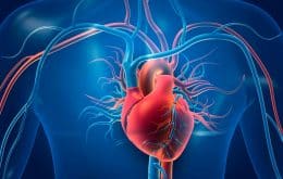 Molécula sintética pode ser tratamento eficaz para insuficiência cardíaca