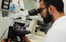 Câncer: Google e EUA trabalham em microscópio com IA para identificar doença
