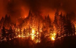 Incêndios florestais estão aquecendo o planeta mais do que o imaginado