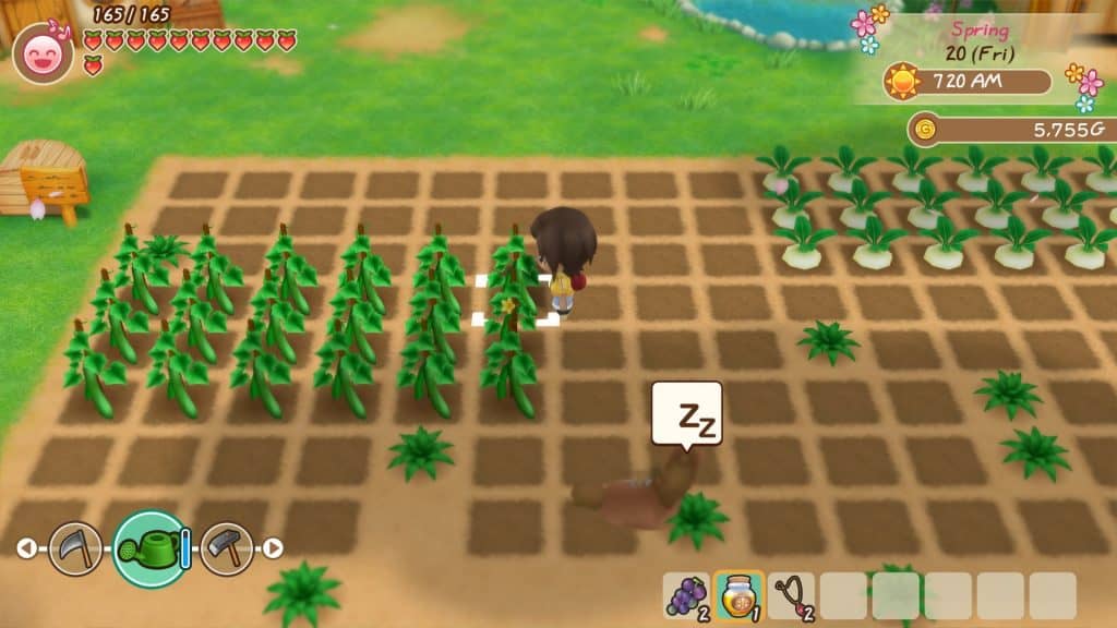 STORY OF SEASONS Friends of Mineral Town Vision Art NEWS