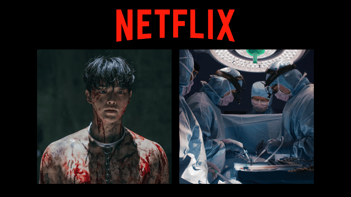 Netflix: todos os lançamentos de novembro de 2023 - Mundo Conectado