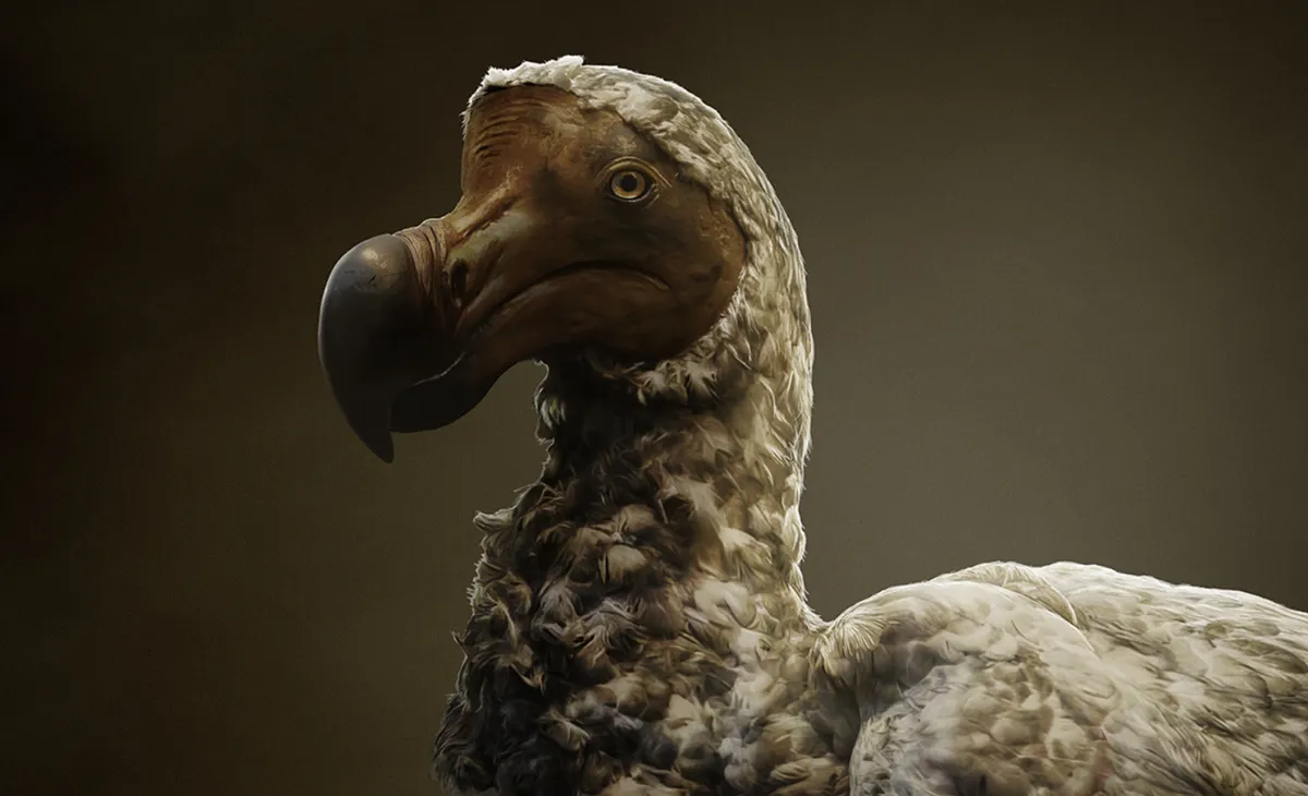 What are dodo birds?  Discover extinct species and how science wants to revive them