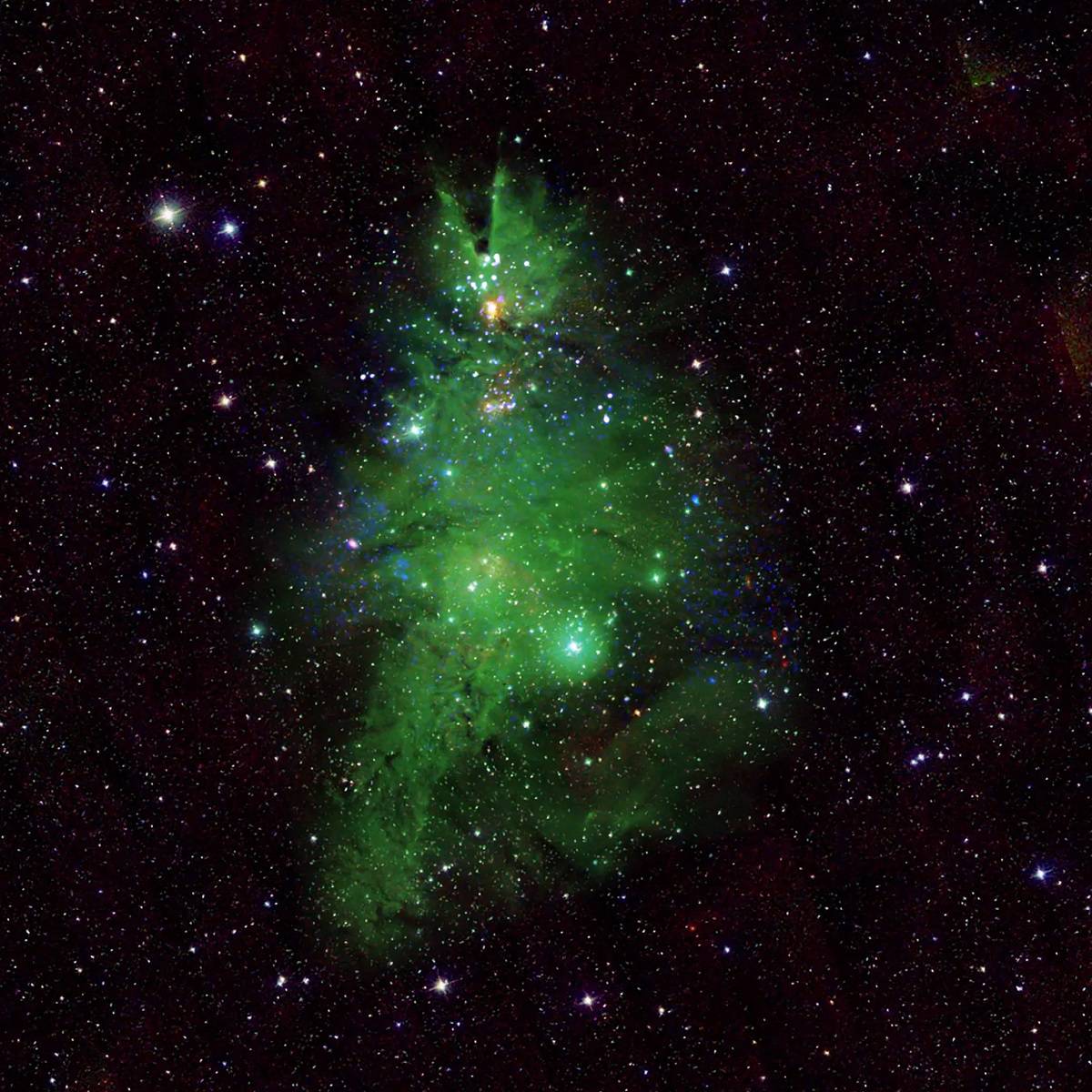 ¡Es Navidad en el espacio!  Un cúmulo de estrellas forma un árbol de Navidad
